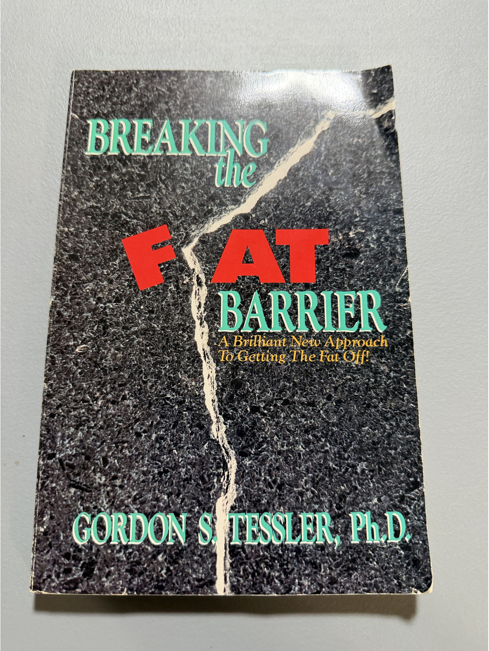 Breaking the Fat Barrier by Gordon S. Tessler Ph.D. Paperback